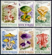 TP-ROM86.986.68.73 Paddestoelen set - ROEMENIE - Uitgiftedatum 15-08-1986 - MINT **